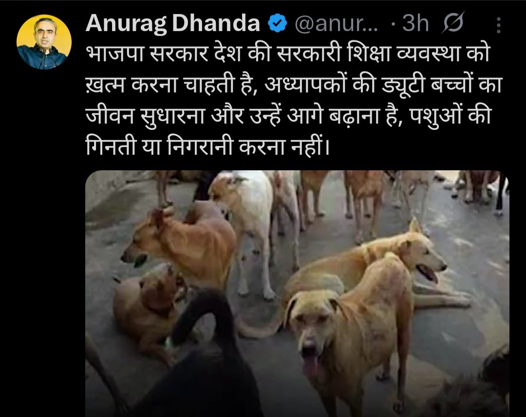 AAP Leader Dog Duty Response
