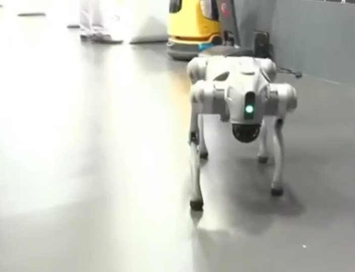 नई दिल्ली के भारत मंडपम में India AI Impact Summit 2026 के दौरान प्रदर्शित Orion चार-पैरों वाला रोबोट