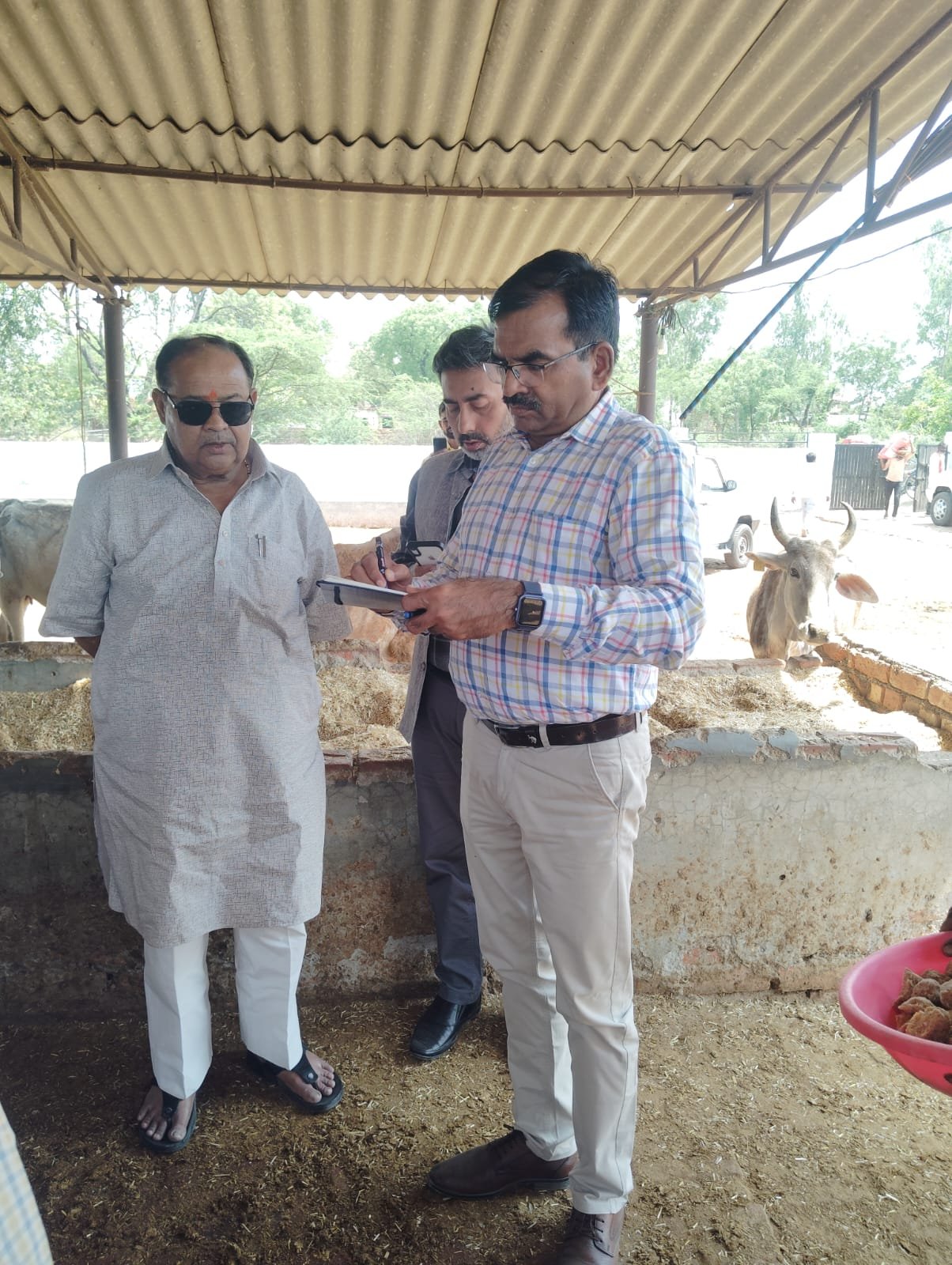 रायबरेली में गो संरक्षण समिति की बैठक और गौशाला निरीक्षण