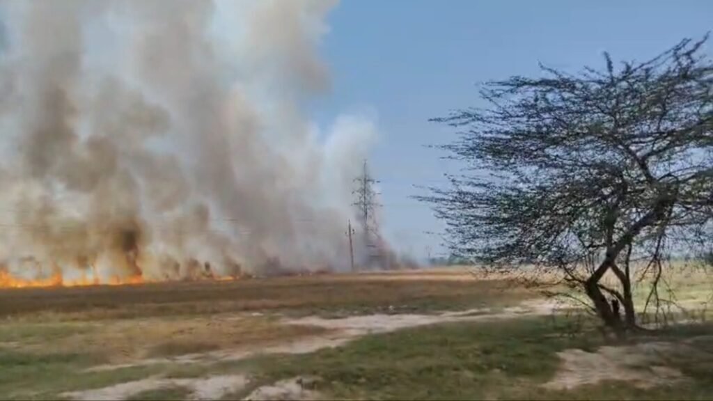 रसूलपुर (बछरावां) में भीषण आग: 20–30 बीघा गेहूं की फसल जली, मुकेश, यशवंत, विकास सहित कई किसान प्रभावित