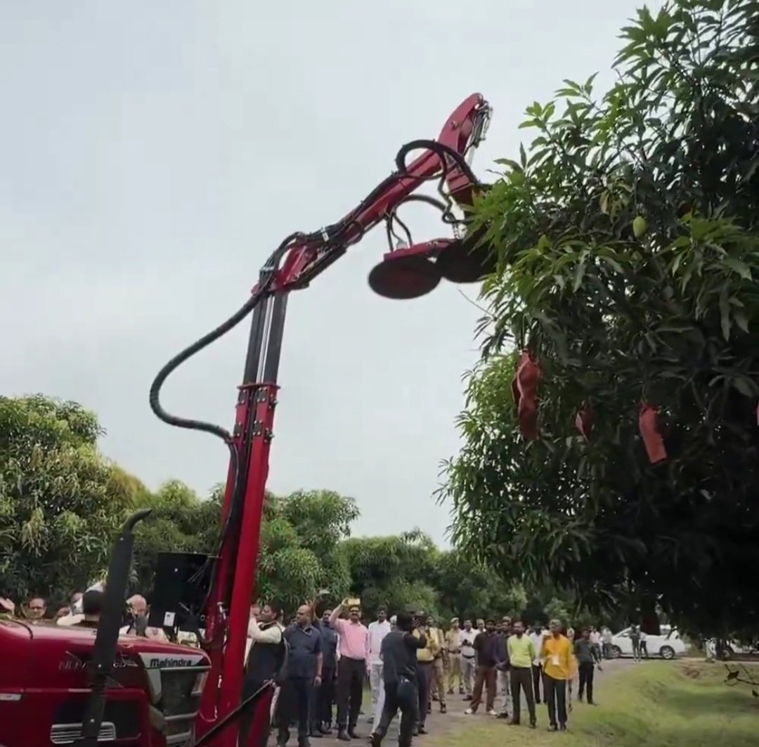 CISH लखनऊ में आम के पुराने पेड़ों की प्रूनिंग मशीन से कटाई-छंटाई