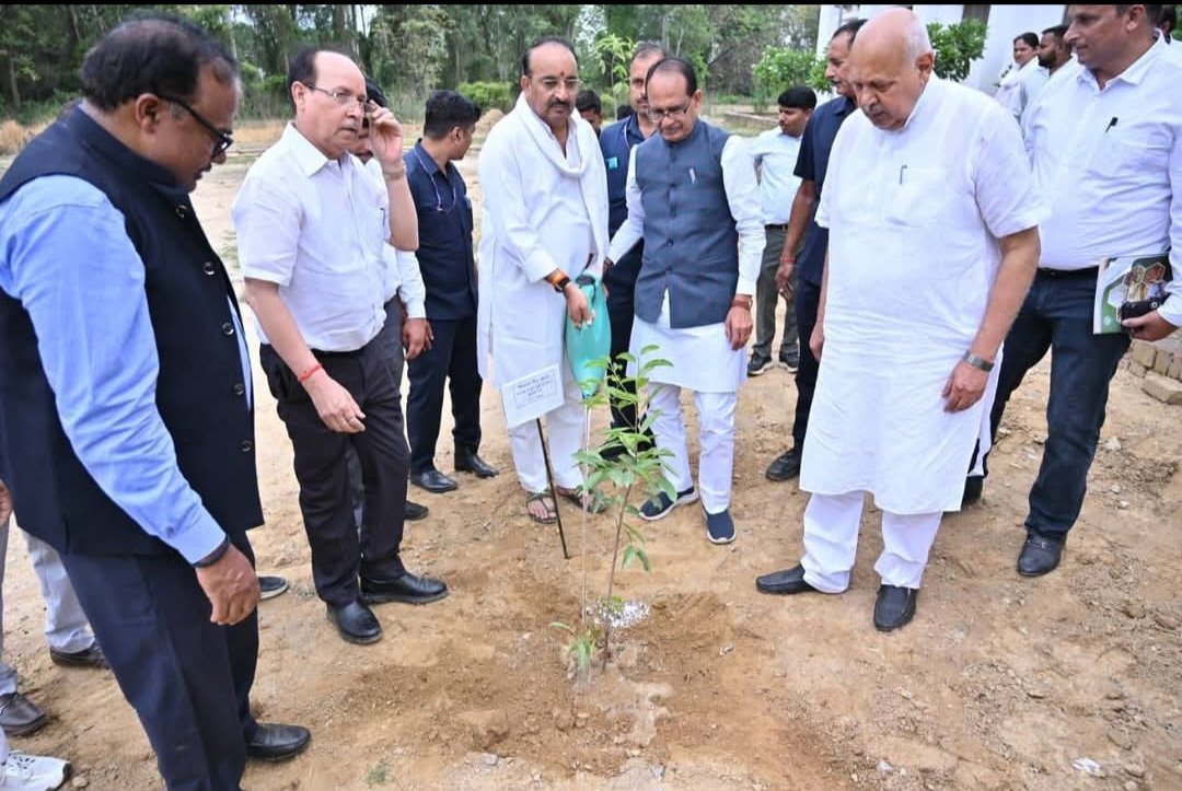 लखनऊ के CISH परिसर में आम का पौधा लगाते केंद्रीय मंत्री शिवराज सिंह चौहान